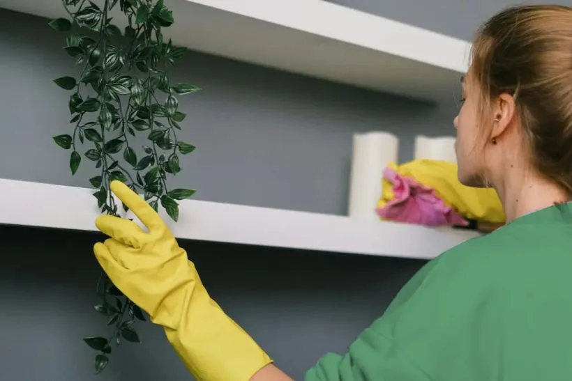 Cleaner in yellow gloves dusting wall shelves