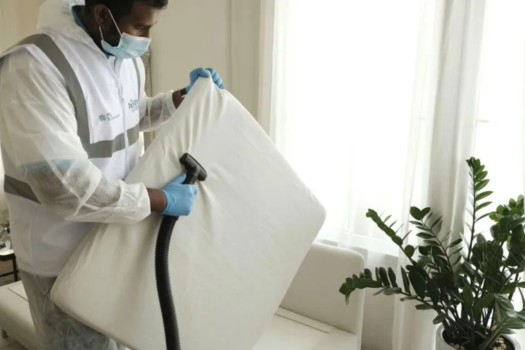 Cleaning technician in a mask and gloves vacuuming a cushion